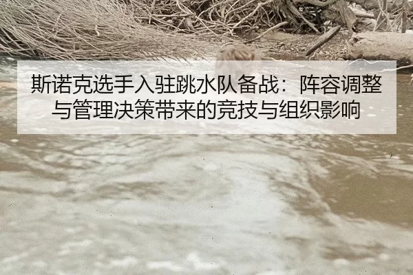 si-nuo-ke-xuan-shou-ru-zhu-tiao-shui-dui-bei-zhan-zhen-rong-tiao-zheng-yu-guan-li-jue-ce-dai-lai-de-jing-ji-yu-zu-zhi-2-193.jpg